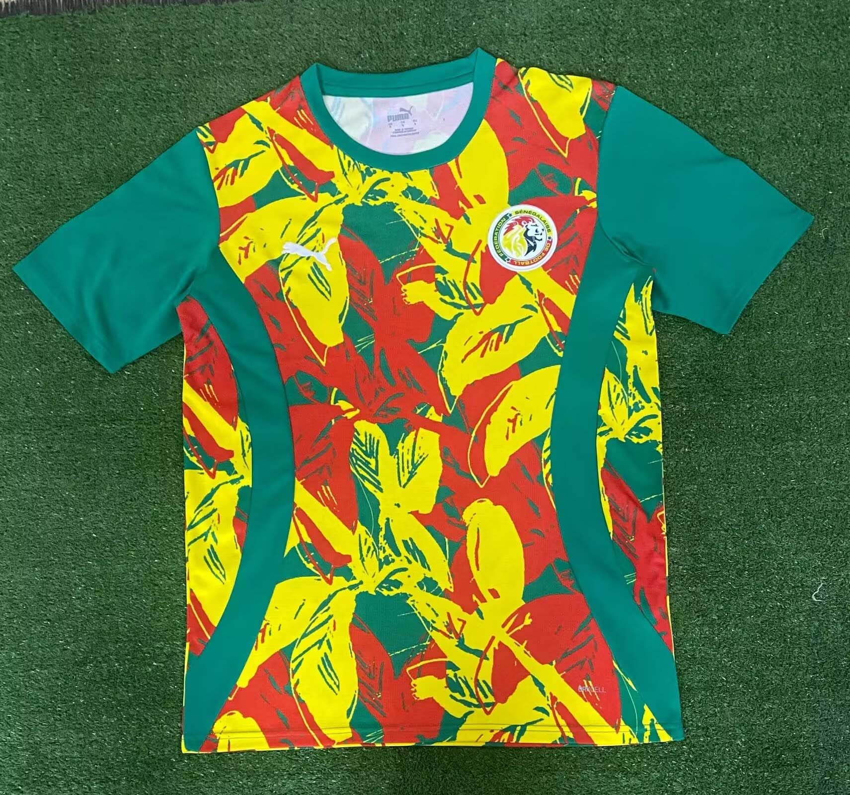 15a041d84a1ca8dc9b6c980cd2261e93d1f157a8 2024/2025 Senegal National Team Training Wear Football Shirt 1:1 Thai Quality - Image 1