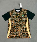 2025 Player Version Côte d'Ivoire Training Wear Football Shirt 1:1 Thai Quality