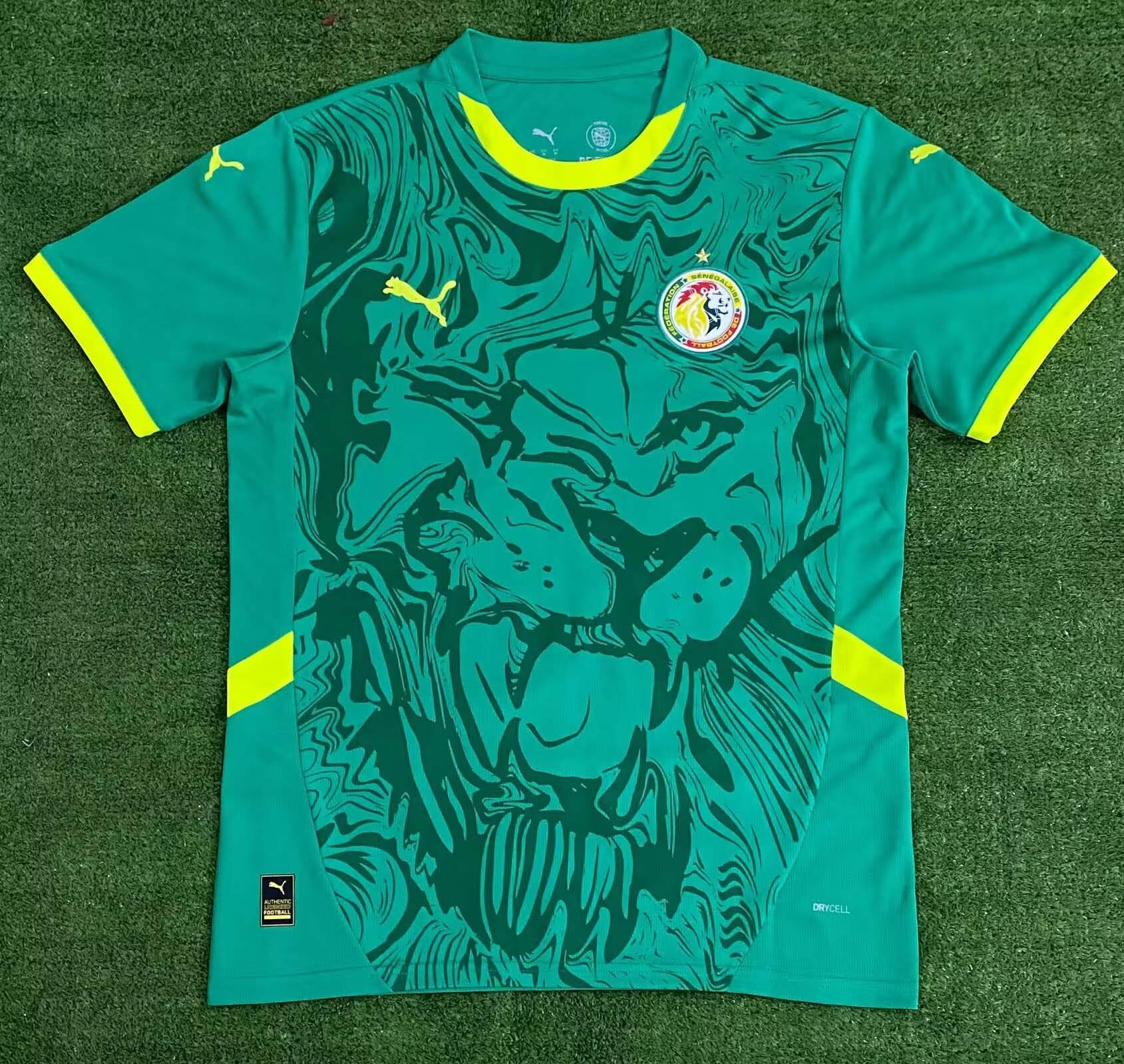 414d0bf1e51caa6d9050f8ae1afb4c63d101a902 2024/2025 Senegal National Team Away Football Shirt 1:1 Thai Quality - Image 1