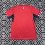 2026 Czech Republic National Team Home Football Shirt 1:1 Thai Quality - Image 2