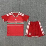 2026 Wales Home Football Shirt 1:1 Thai Quality Kids Size