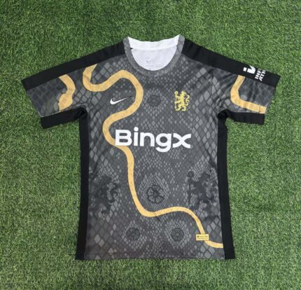 2025/2026 Chelsea Special Edition Gray Football Shirt 1:1 Thai Quality
