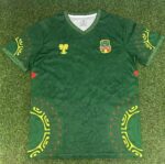 2025 Mali Special Edition Green Football Shirt 1:1 Thai Quality