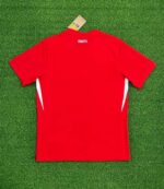 2024 Turkey National Team Away Football Shirt 1:1 Thai Quality - Image 2