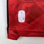 2023/2024 Albania National Team Home Football Shirt 1:1 Thai Quality - Image 9
