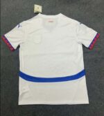 2024 Serbia National Team Away Football Shirt 1:1 Thai Quality - Image 2