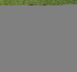 2025/2026 Arsenal Pre-Match Suit Red Football Shirt 1:1 Thai Quality