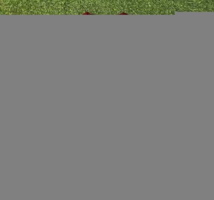 2025/2026 Arsenal Pre-Match Suit Red Football Shirt 1:1 Thai Quality