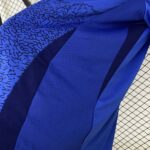 2025 Brazil Special Edition Jesus blue Football Shirt 1:1 Thai Quality - Image 8