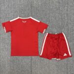 2026 Wales Home Football Shirt 1:1 Thai Quality Kids Size - Image 2